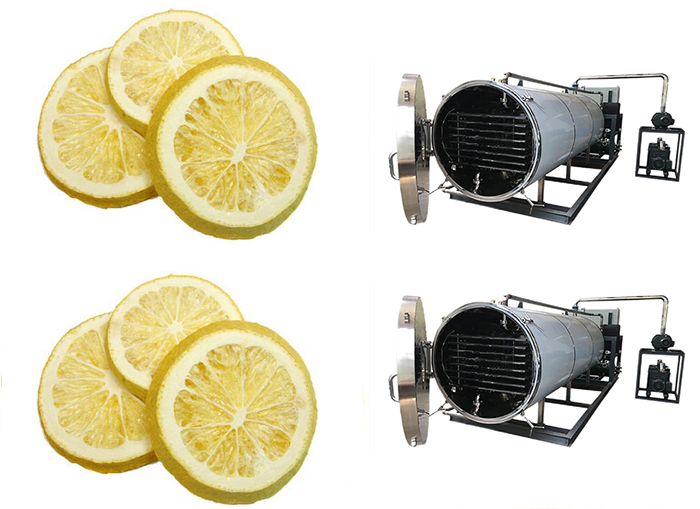 水果凍干機