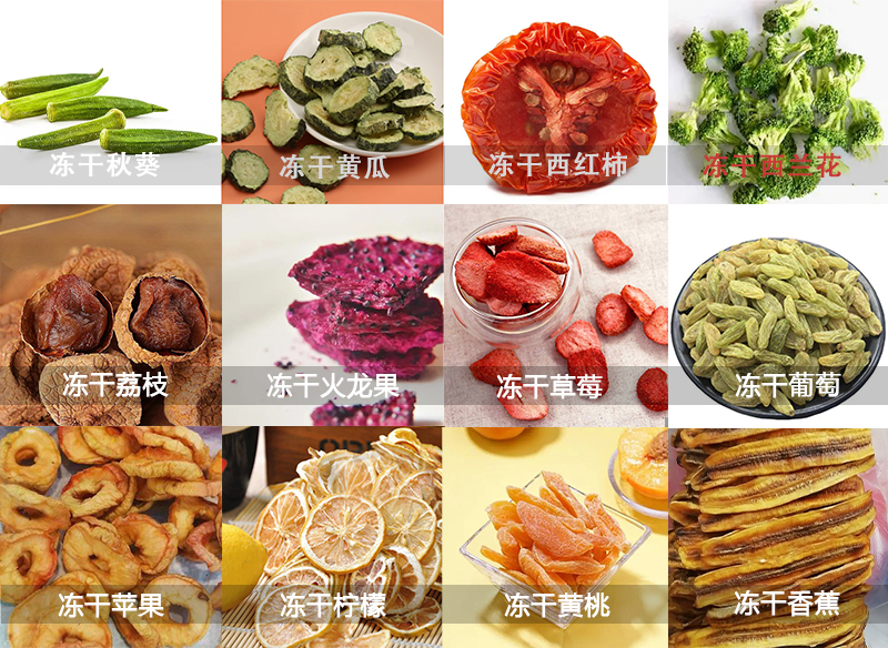 果蔬凍干機(jī)的應(yīng)用圖